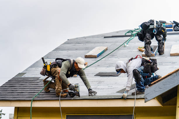 Professional Roofing technician working in Arcadia, MI